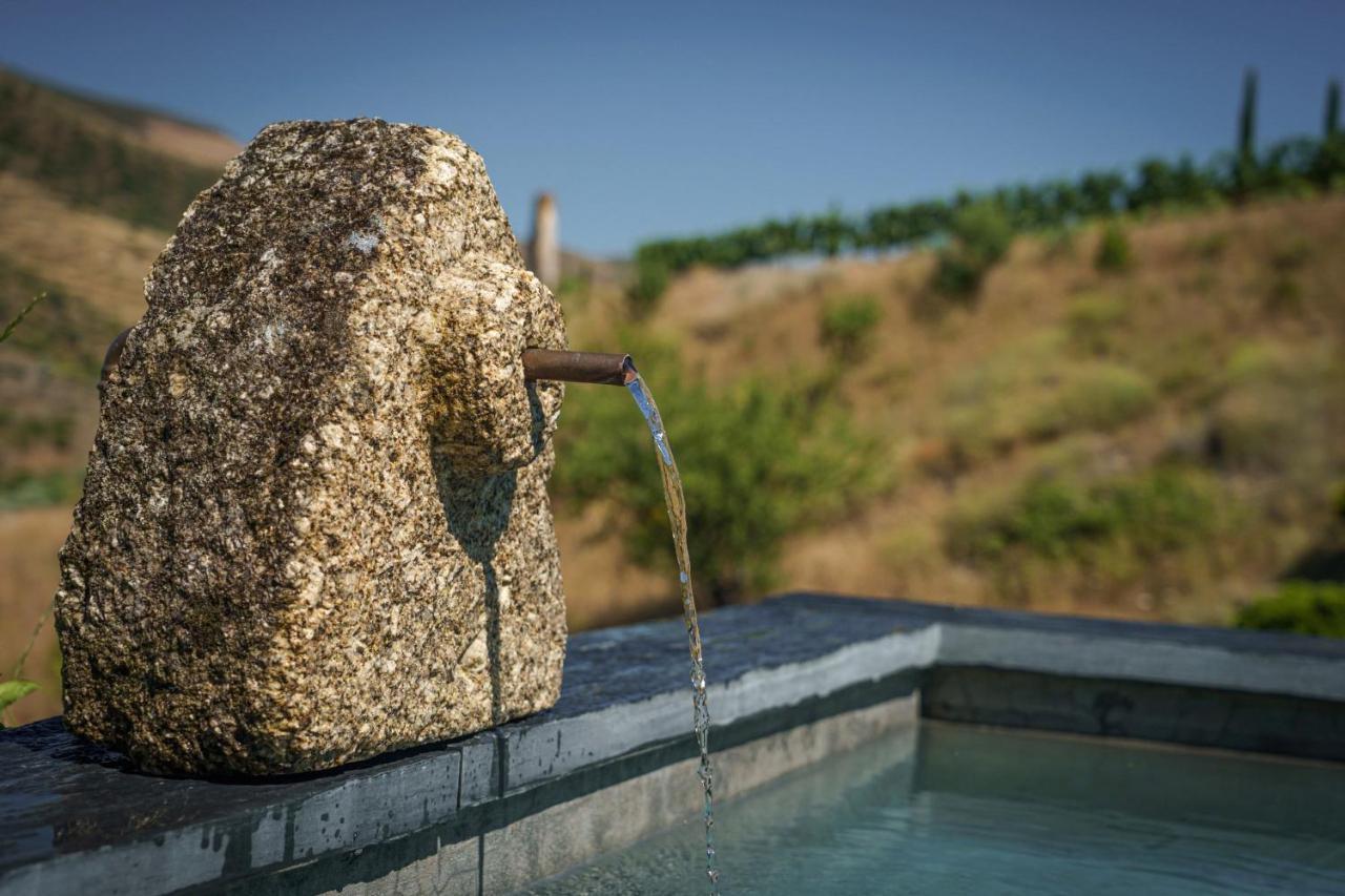 Casa Do Rio - Douro Wine Hotel By Vallado 福什科阿新镇 外观 照片