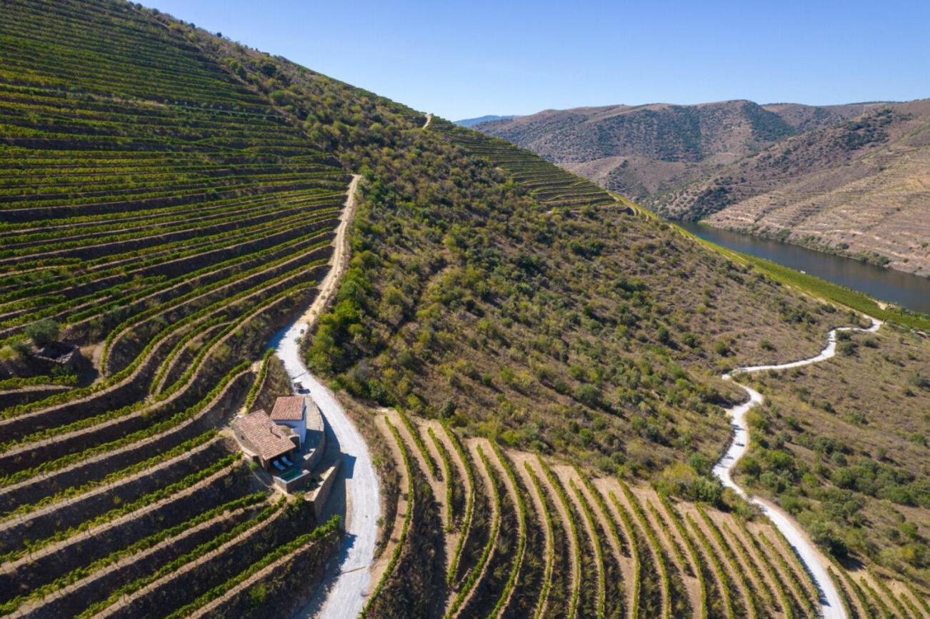 Casa Do Rio - Douro Wine Hotel By Vallado 福什科阿新镇 外观 照片