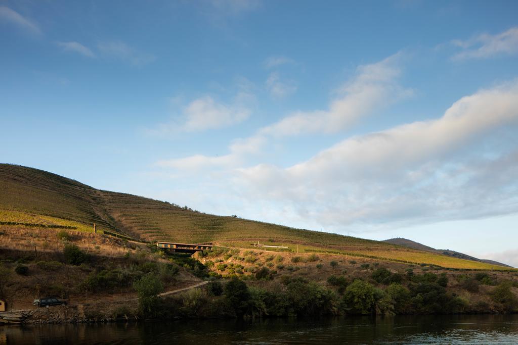 Casa Do Rio - Douro Wine Hotel By Vallado 福什科阿新镇 外观 照片