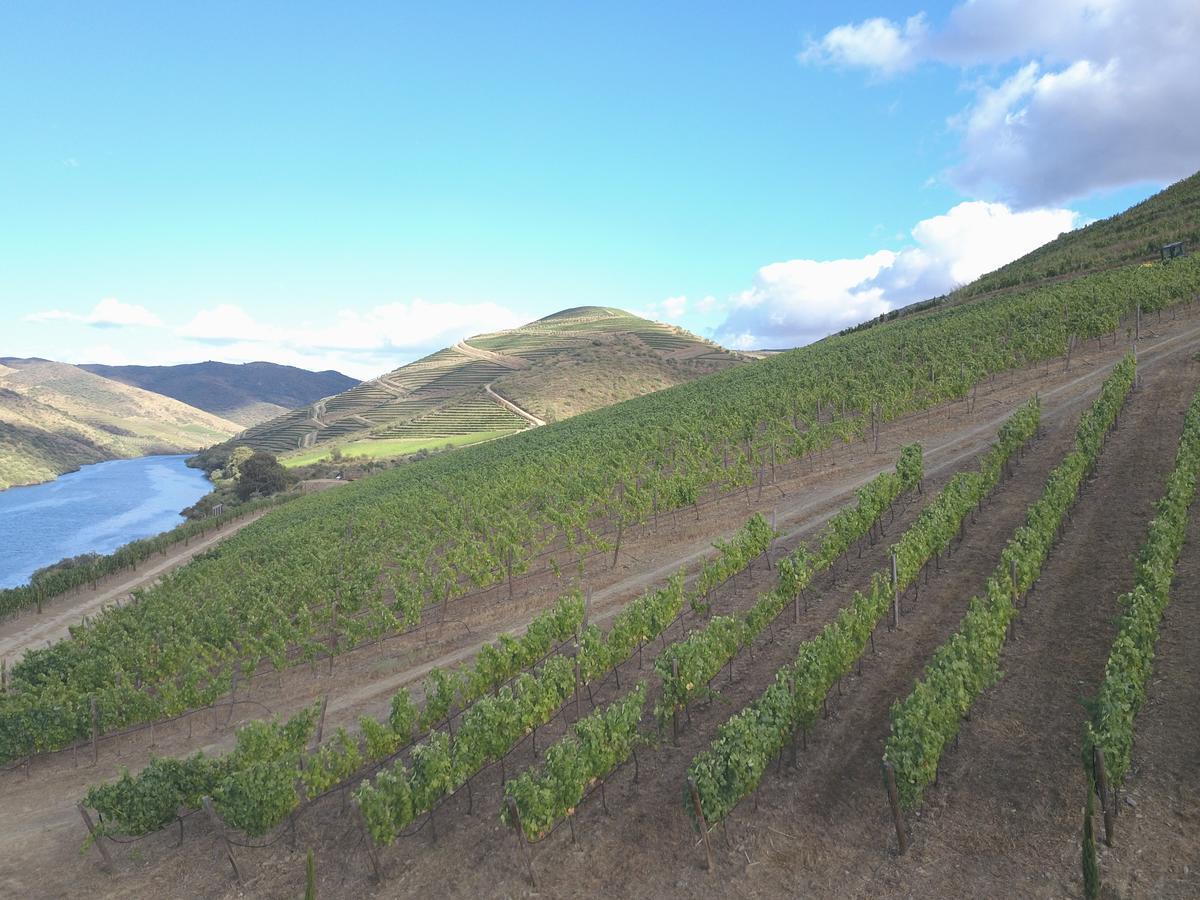 Casa Do Rio - Douro Wine Hotel By Vallado 福什科阿新镇 外观 照片