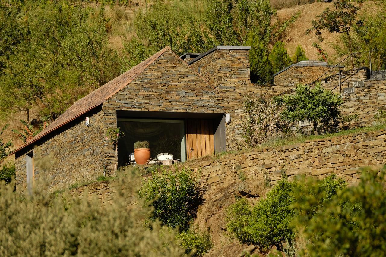 Casa Do Rio - Douro Wine Hotel By Vallado 福什科阿新镇 外观 照片