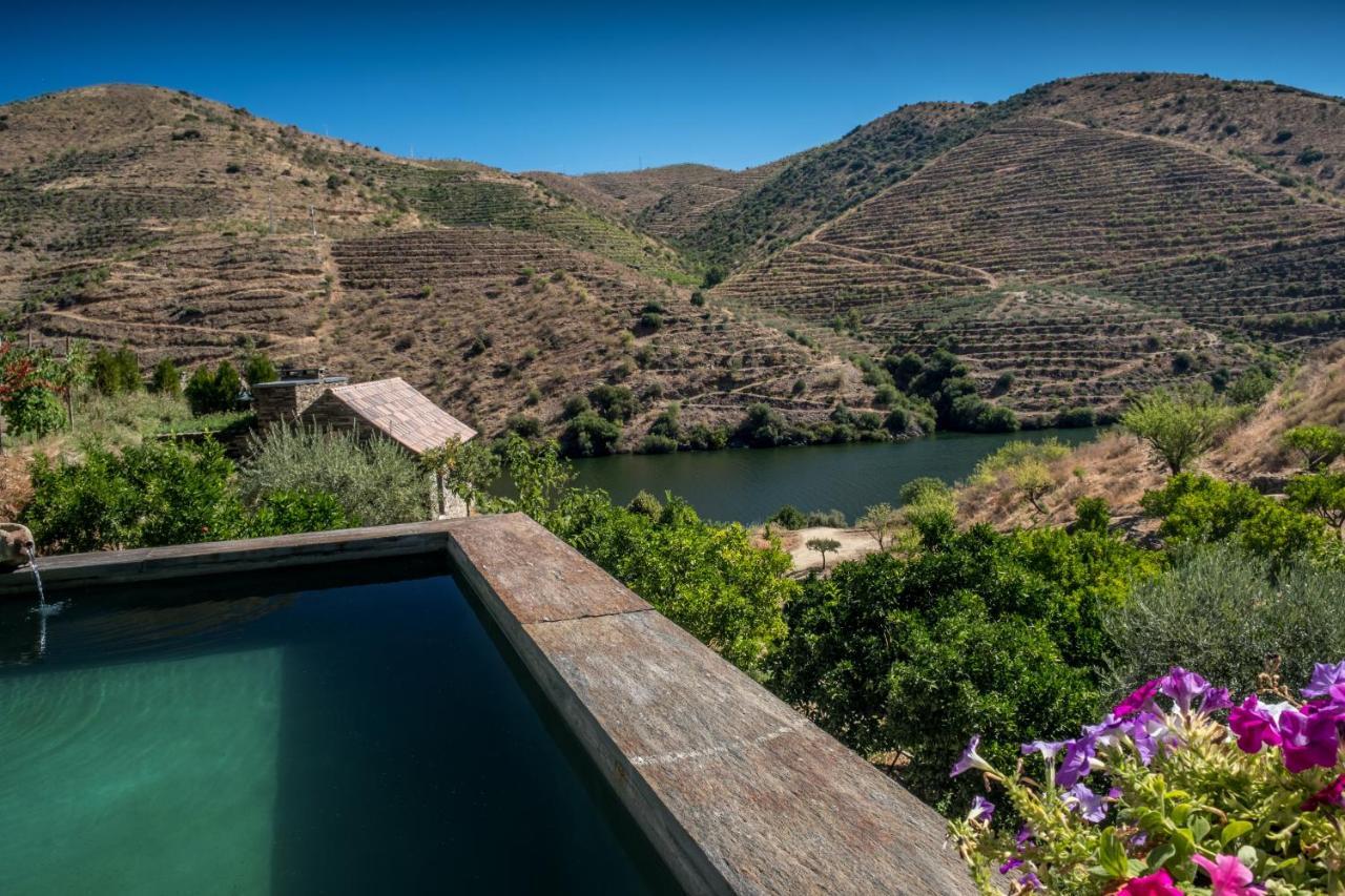 Casa Do Rio - Douro Wine Hotel By Vallado 福什科阿新镇 外观 照片